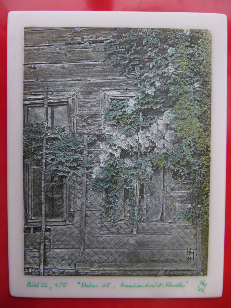 a 051 Kameographie Maschendraht-Fenster